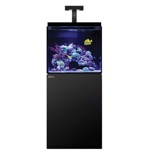 Red Sea MAX E-170 REEF-SPEC Aquarium System with Stand - Black - 37 ga