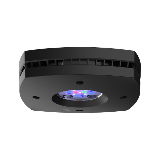 AquaIllumination Prime 16HD Reef Lighting System - Black | Big Al's