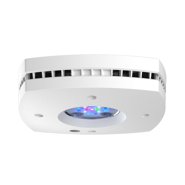 AquaIllumination Prime 16HD Reef Lighting System - White | Big Al's