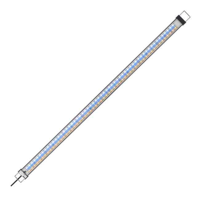 olivenbaum zur geburt Olivenbaum 60cm – toskanagartenshop main image 1