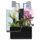 Brio Aquaponics Brio 35 Aquaponics System & Aquarium