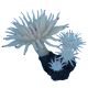 Underwater Treasures Duncan Corals