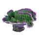 Underwater Treasures Montipora Coral - Purple Rim