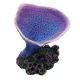 Underwater Treasures Elephant Ear Coral - Purple