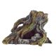 Underwater Treasures Twisted Stump