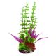 Underwater Treasures Rotala Purple Fern