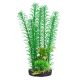 Underwater Treasures Mayaca - Green