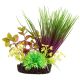 Underwater Treasures Hairgrass Mound