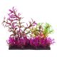 Underwater Treasures Purple Garden Mix