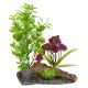 Underwater Treasures Purple Flowers On Root