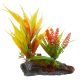 Underwater Treasures Orange Fern On Root