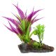 Underwater Treasures Purple Fern On Root