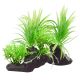 Underwater Treasures Sagittaria Twins
