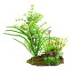 Underwater Treasures Flowering Plants