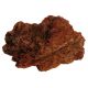 Feller Stone Maple Leaf Rock - 55 lb - Sold by the Pound