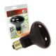 Zilla Night Black Heat Incandescent Spot Bulbs
