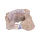 Feller Stone Picture Stones