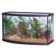 Aqueon Bow Front Aquariums