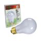 Zilla Incandescent Day White Light Bulbs