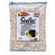 Carib Sea Seaflor Aruba Puka Shell