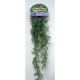 Aquarium Systems Fancy Plants Giants