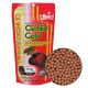 Hikari Cichlid Gold - Large Pellets - 8.8 oz
