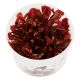 Tropica 1-2-Grow Live Plants