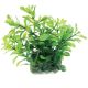 Underwater Treasures Moneywort Green