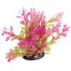 Underwater Treasures Pink Tipped Cardamine - 6