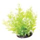 Underwater Treasures Cardamines (Green/White)