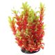 Underwater Treasures Red Ludwigia - 10