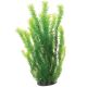 Underwater Treasures Cabomba - 20