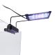 Lifegard Aquatics Full Spectrum LED Light - 6.5 W - 5