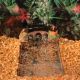Lifegard Aquatics Underwater River with Air Pump - Small