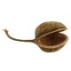 Jurassic Reptile Products Buda Nut Hide