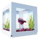 BioBubble Pets Deco Cubes