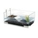 Ciano Aquarium Tartariums