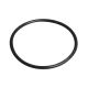 Two Little Fishies O-Ring for Phosban Reactor 150
