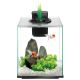 Aqueon Aqua Springs Aquarium Kits