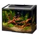 Aqueon Ascent Frameless Aquarium Kits
