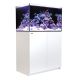 Red Sea REEFER Rimless Reef-Ready Aquarium System - 250 - White