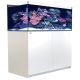 Red Sea REEFER XL Rimless Reef-Ready Aquarium System - 425 - White