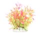 Underwater Treasures Pink Ludwigia
