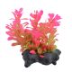 Underwater Treasures Pink Ludwigia - 3
