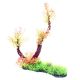 Underwater Treasures Red Ludwigia Branches