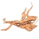 Underwater Treasures Terrarium Wood - Small