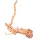 Underwater Treasures Terrarium Wood Root