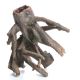 Underwater Treasures Running Roots