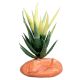 Reptile Treasures Aloe Vera