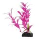 Underwater Treasures Pink Hygro - 4.5